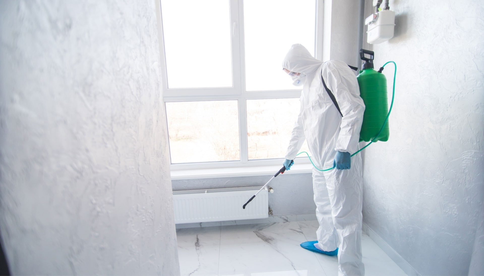 We provide the highest-quality mold inspection, testing, and removal services in the Raleigh, North Carolina area.